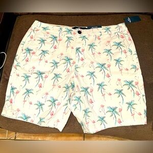 NWT Mens Hollister FLEX Shorts 36 in waist, 7 in length Never worn